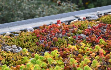 the cost of Polmaily green roof installation
