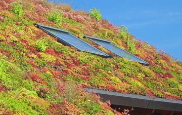 Polmaily living roof systems
